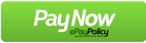 pay-now-button-epa
